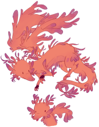 Picture of her dragon form.